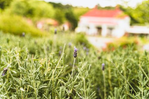 Daylesford Spa Accommodation