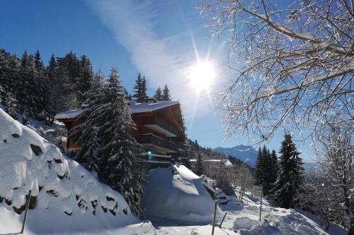  Cozy apartment with stunning view! Ski-in/ski-out. in Villars-sur-Ollon