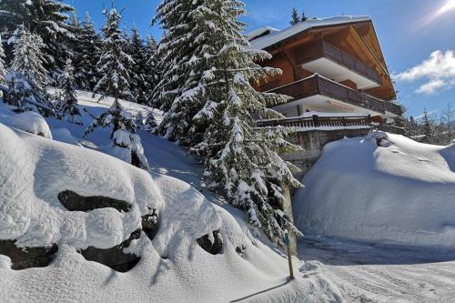  Cozy apartment with stunning view! Ski-in/ski-out. in Villars-sur-Ollon