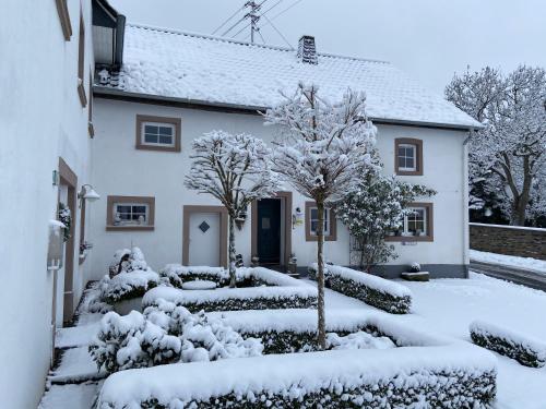 Sissepääs, Eifelferienhaus An der Kapelle - kostenlose Sauna, Ofen in Kerschenbach