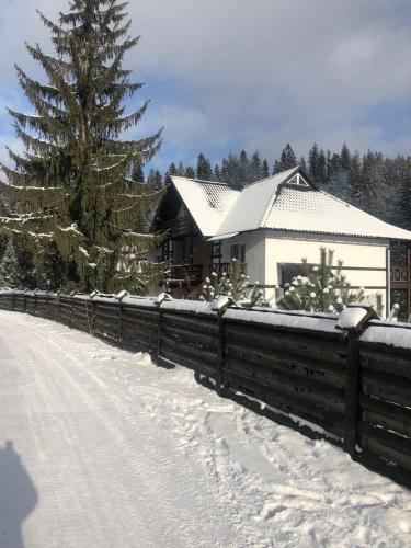 Готель RIVER HILL, Mikuliczyn (zdjęcie 8)