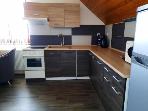 virtuve, Apartmany u Jirousu in Rokitņica nad Jizerou