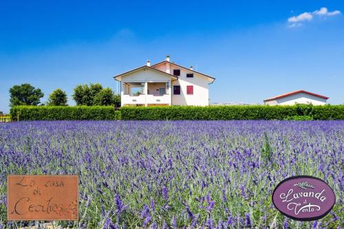 La Casa di Cecilia chambre d'hôte Porto Recanati