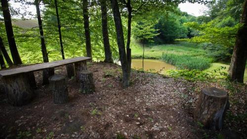  Apartman i sobe Pavek in Pisarovina