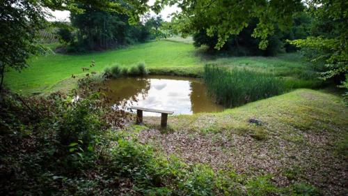  Apartman i sobe Pavek in Pisarovina