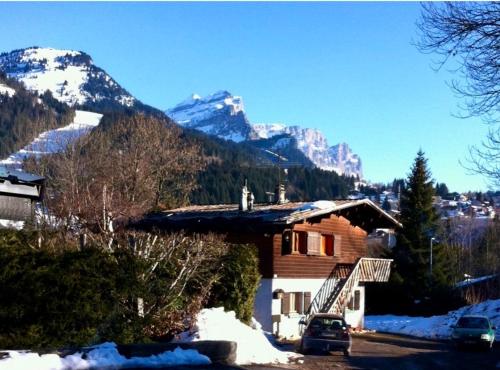 Charmant appartement dans chalet - Apartment - Les Carroz d'Araches