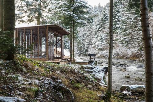 Novosiele Lifestyle Apartments - nad górską rzeką - Strefa relaksu sauna jacuzzi - Bieszczady