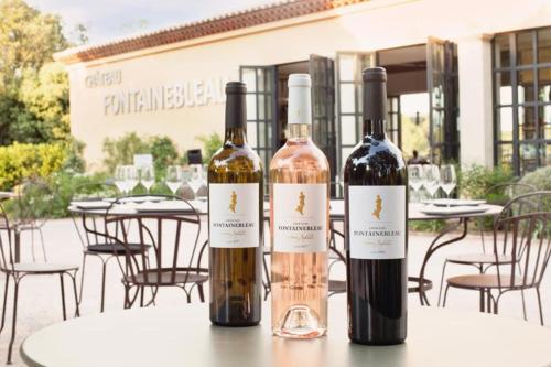 Villa Terrubi Beautiful authentic bastide nestled in the vineyards gîte à louer Miraval