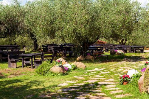 Agriturismi Il Solengo - image 8