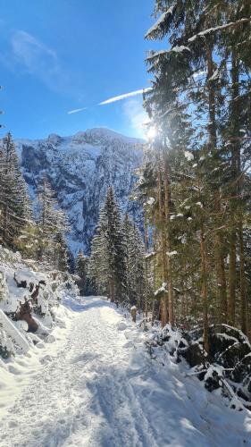 Pension Gasthof Wimbachklamm - image 12