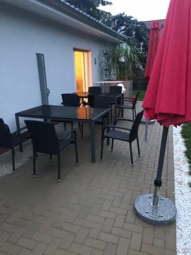 Schilfblume in Großkoschen, Deutschland