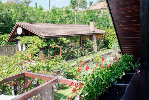 Viesnīcas āriene, Casa din Vale in Vale