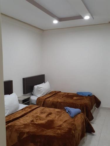 SARAYA AWAD HEGAZI STREET- families only — Hotel in Alexandria