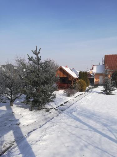 Pension Harmonia - image 8