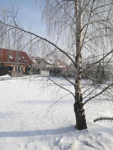 Pension Harmonia - image 2