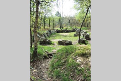 Chalet la Hulotte Forêt de Brocéliande