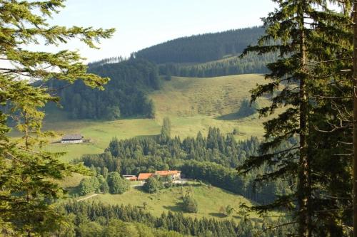 Berggasthaus Steinberg-Alm inkl. Chiemgaukarte in Ruhpolding, Deutschland