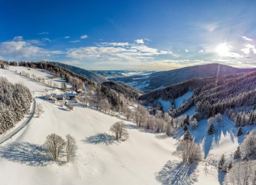 Almbauer Morgenbesser - main image