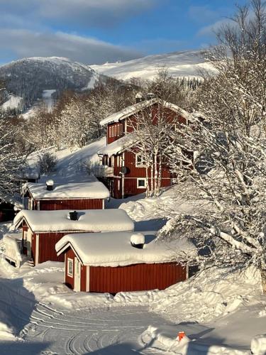 Karolinen Stugor & Lägenheter - Apartment - Åre