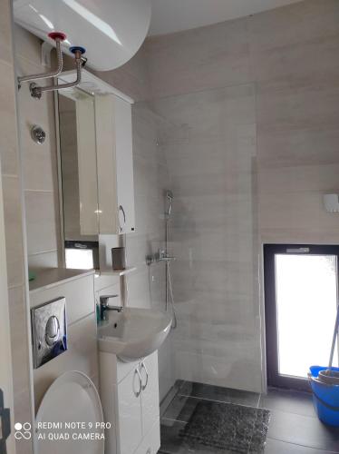 Apartman Riboškić Divčibare - main image