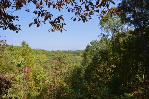 Heavenly Mountain View - image 5