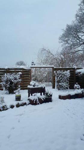 La chambre d Angeline - image 14