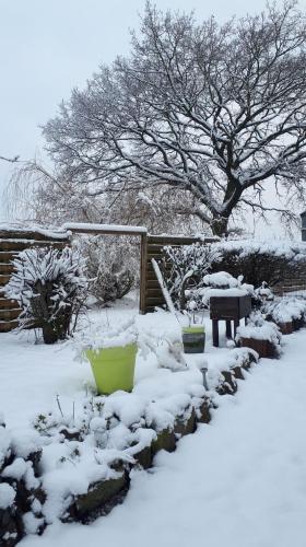 La chambre d Angeline - image 2