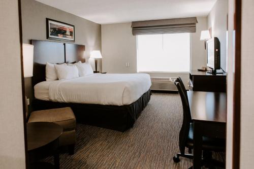 วินเกท บาย วินด์แฮม แชนติลลี / ดัลเลสแอร์พอร์ต (Wingate by Wyndham Chantilly / Dulles Airport) in แชนทิลลี (VA)