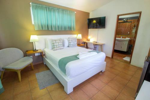 Queen Room with Pool View image 10