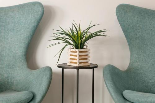 Torch Lite Inn at the Beach Boardwalk - image 11