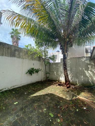 Casa King