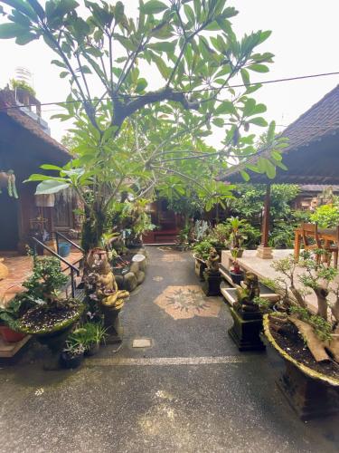 Goutama Homestay - Tap to explore photos