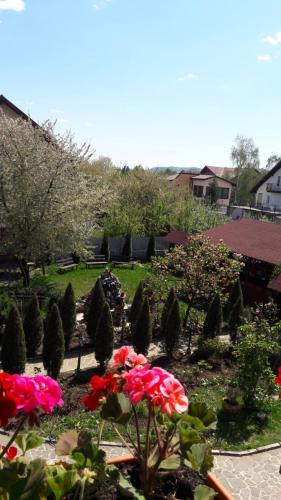 尼娜别墅酒店 尼娜别墅酒店