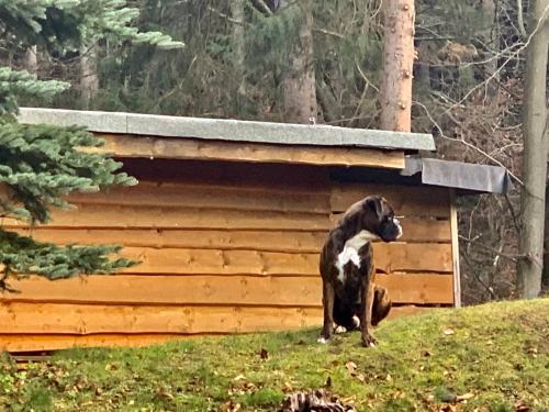 Ferienhaus Jägerhaus Oppach Privathaus