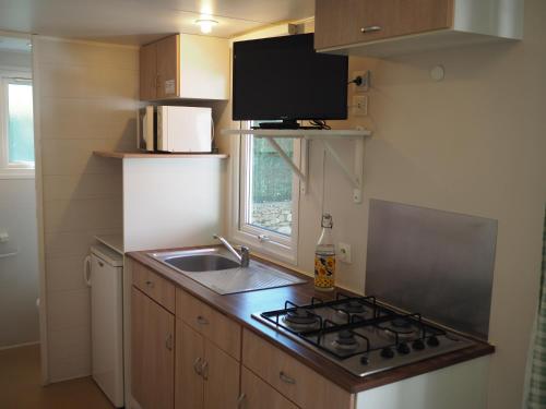 Mobile Home