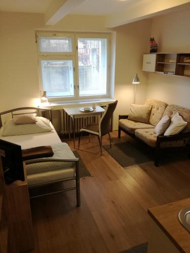Malý útulný byt V Lipkách - Apartment - Hradec Králové