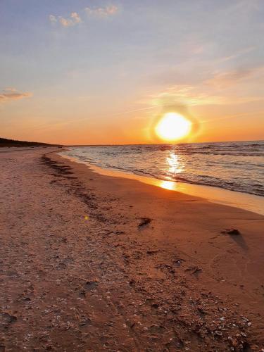 APARTAMENTY NADMORSKIE STEGNA BALTIC PARK
