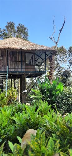 Noah's Nest Tree House - Thekkady