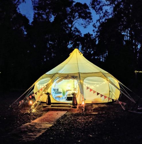 Lake Leschenaultia Guide: A Perfect Family Day Trip