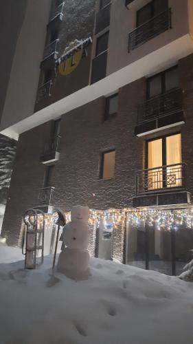 Зовнішній вигляд готелю, Apartman K&N - Jahorinska Vila in Ягоріна