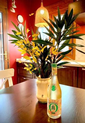 Villa Miranda Villa Miranda