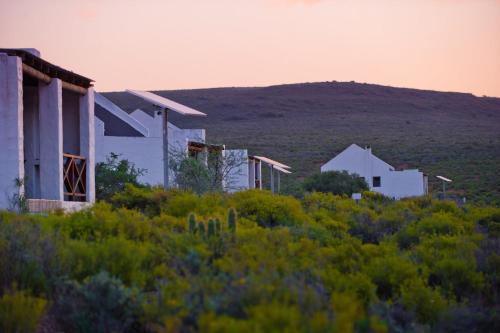 African Game Lodge