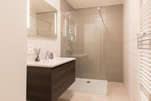 One-Bedroom Apartment image 10