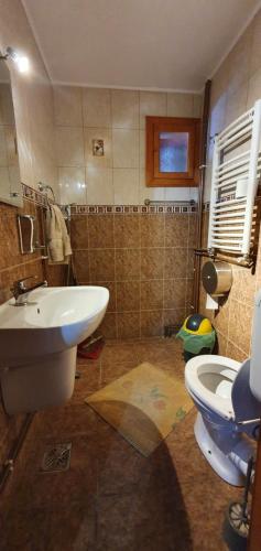 Casa de Vacanta Silvia - image 13
