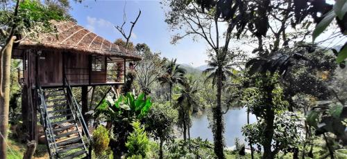 Noah's Nest Tree House