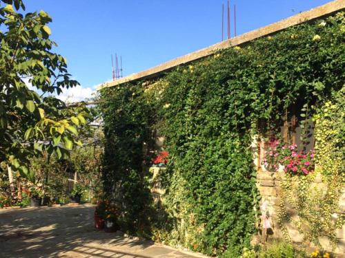 GuestHouse Lile - main image