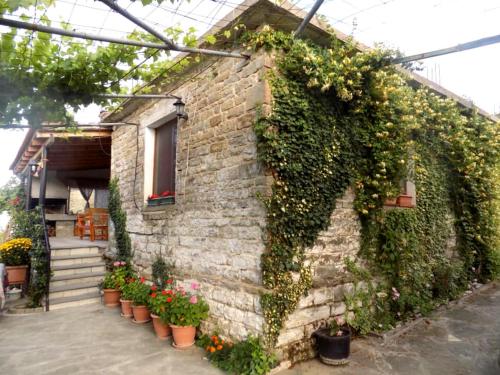 GuestHouse Lile - image 4
