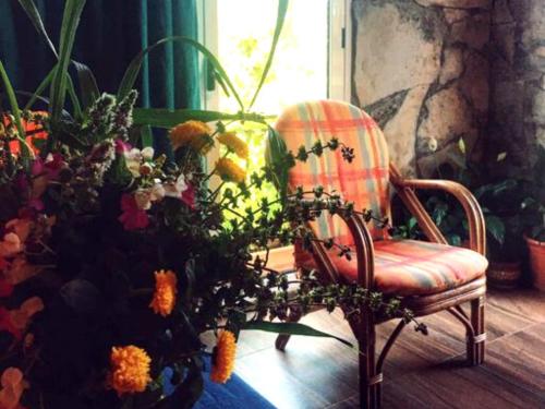 GuestHouse Lile - image 10