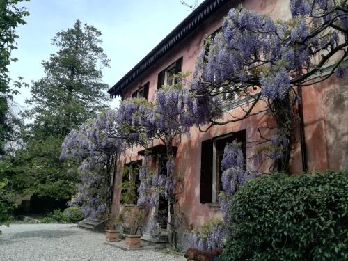 Casa della Gioia - Accommodation - Castelveccana