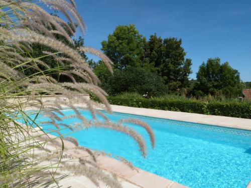 Gîte avec Piscine proche de St Cirq Lapopie - Location saisonnière - Berganty